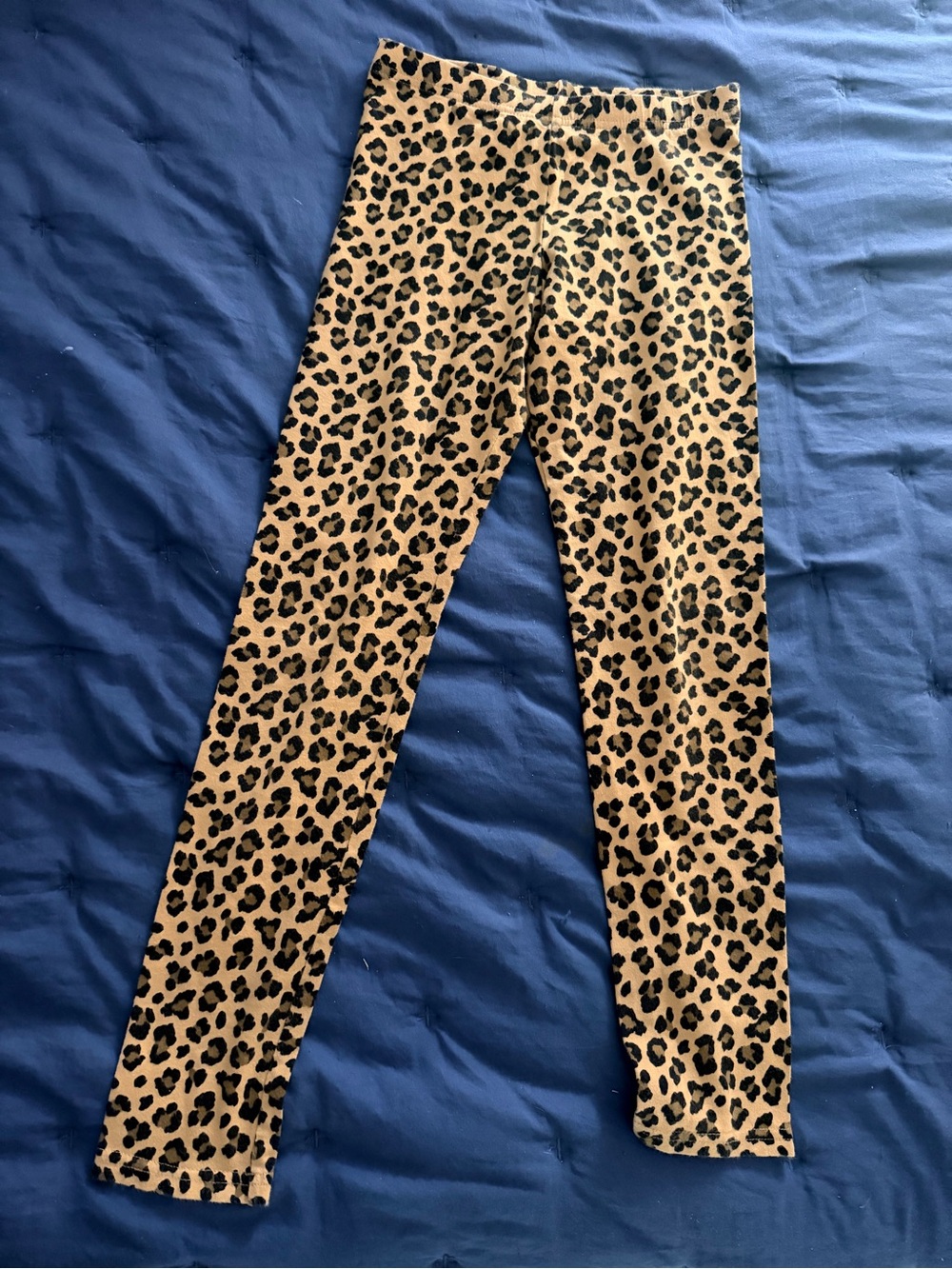 Cat & Jack Leopard Print Leggings - Beige and Black